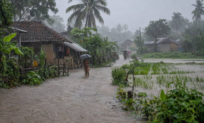 Monsoon