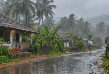 Monsoon