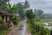 Monsoon