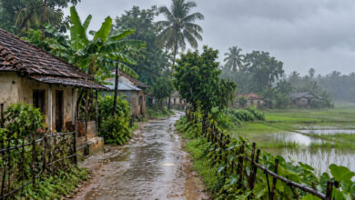 Monsoon
