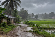 Monsoon