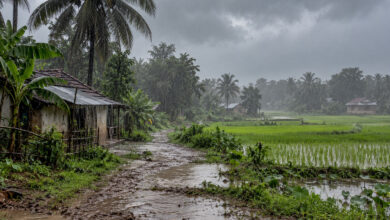 Monsoon