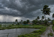 Monsoon