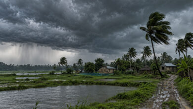 Monsoon