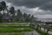 Monsoon