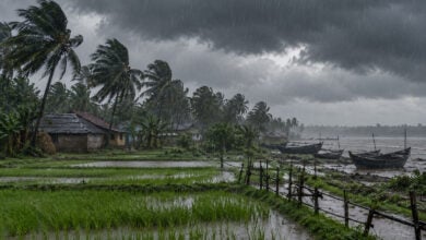 Monsoon