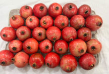 Pomegranate
