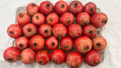 Pomegranate