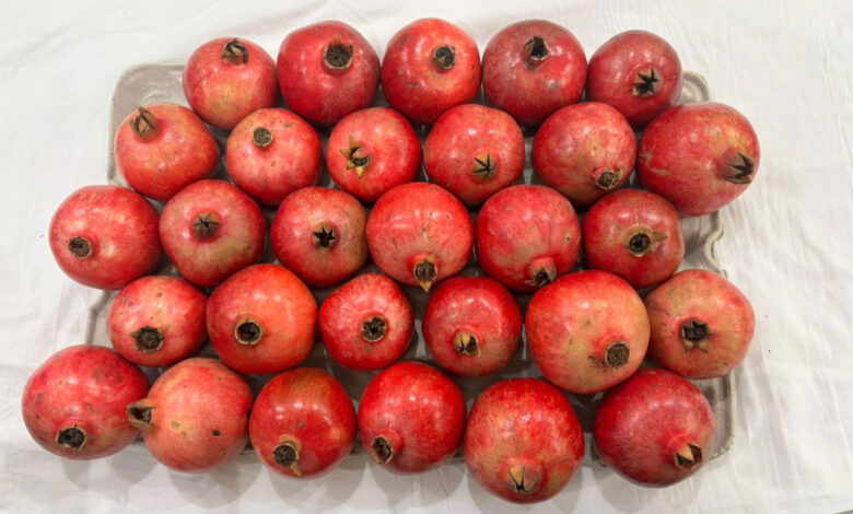 Pomegranate
