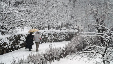 Snowfall