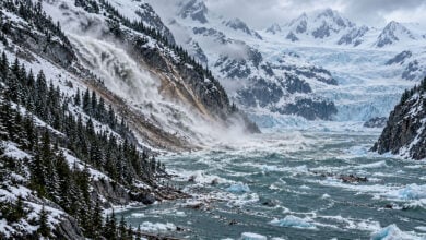 Tsunami